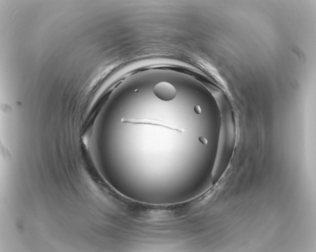 X0000091310154200708101509