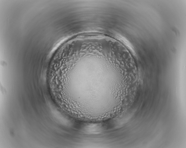 X0000091310155200708101509