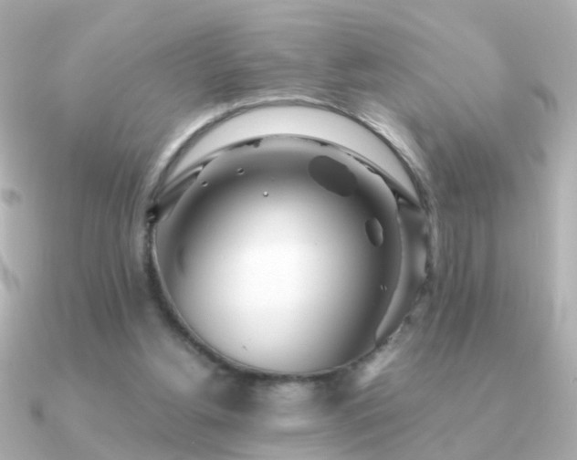 X0000091310156200708101509