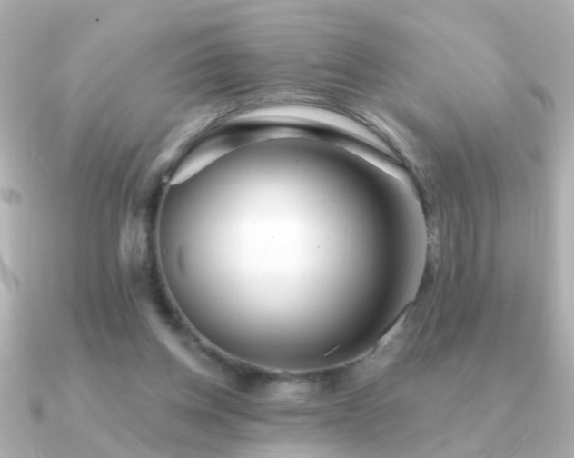 X0000091310158200708101509