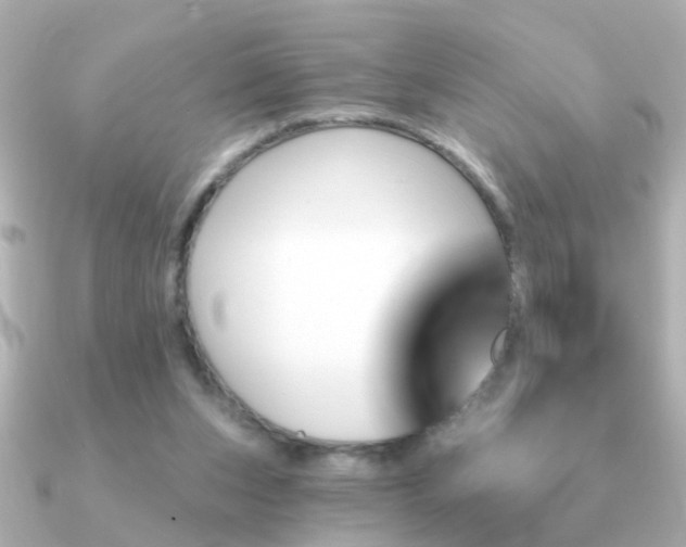 X0000091310159200708101509