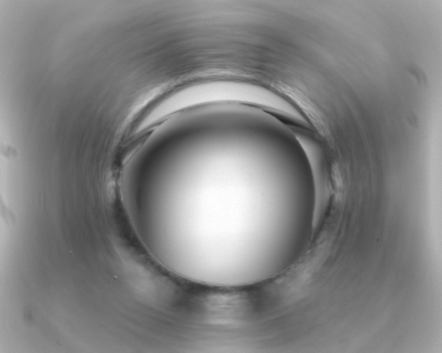 X0000091310160200708101509