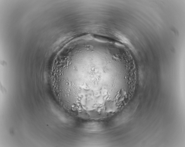 X0000091310161200708101509