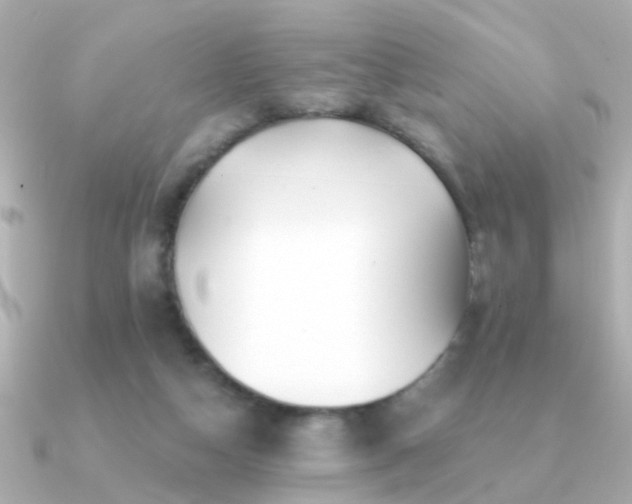 X0000091310162200708101510