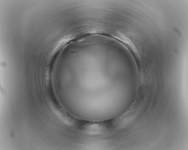 X0000091310163200708101510