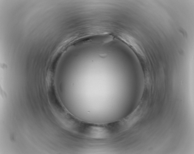 X0000091310167200708101510