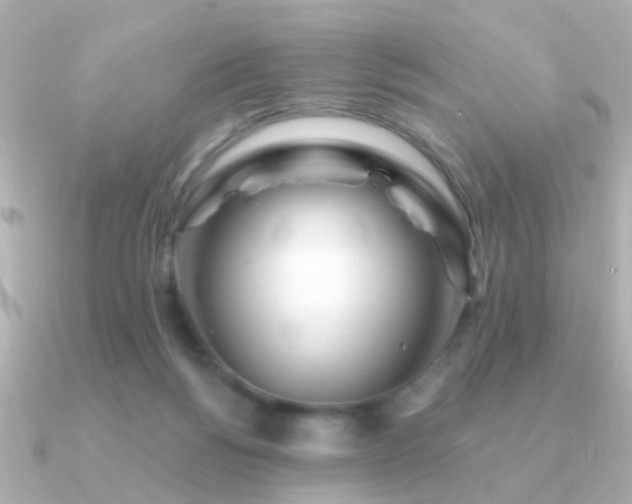 X0000091310168200708101510