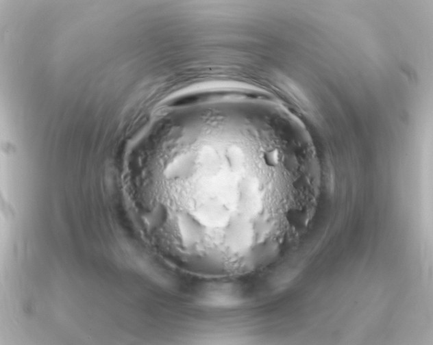 X0000091310169200708101510