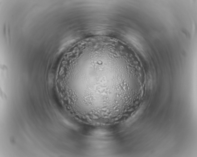 X0000091310171200708101510