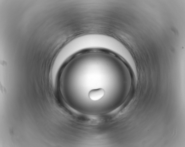 X0000091310172200708101510