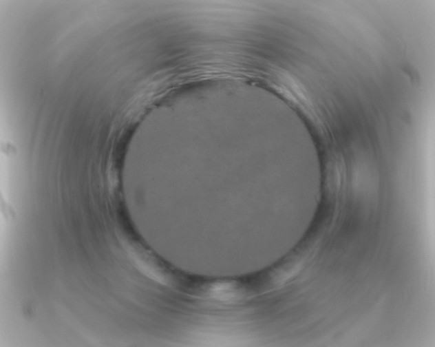 X0000091310173200708101510