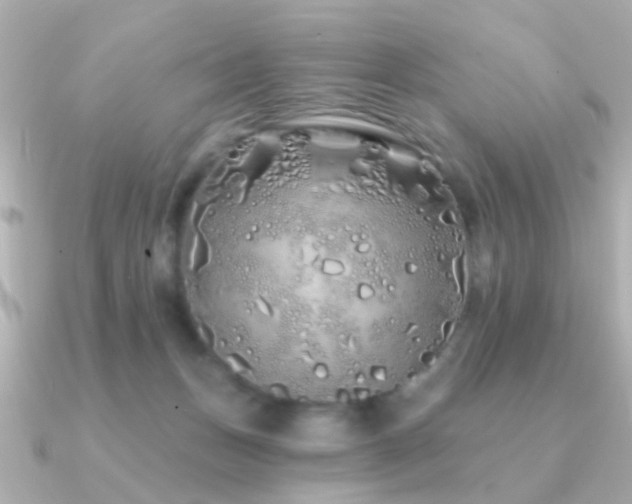 X0000091310175200708101510