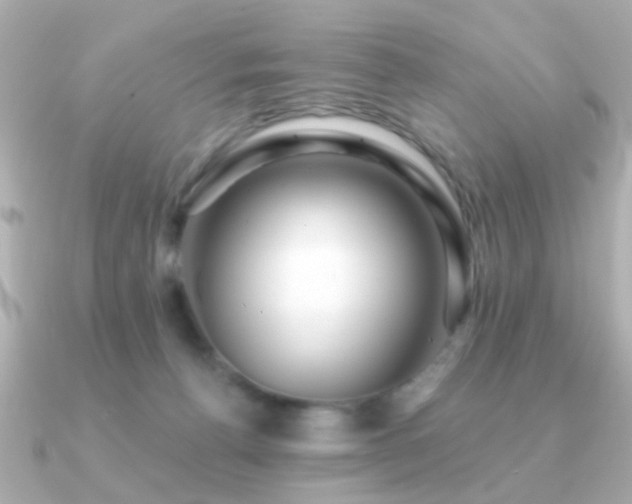 X0000091310176200708101510