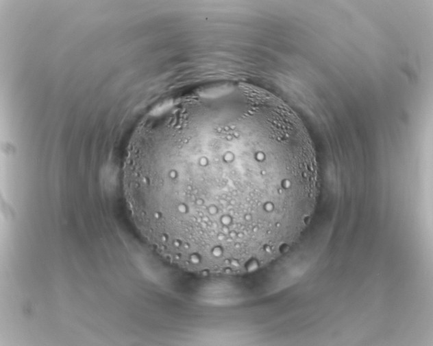 X0000091310177200708101510