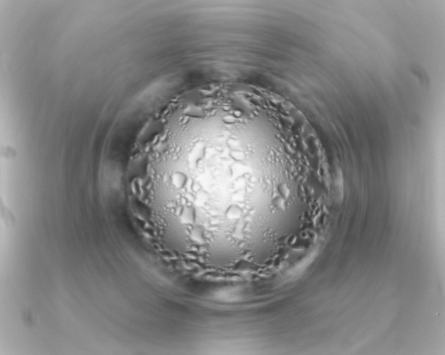 X0000091310178200708101510