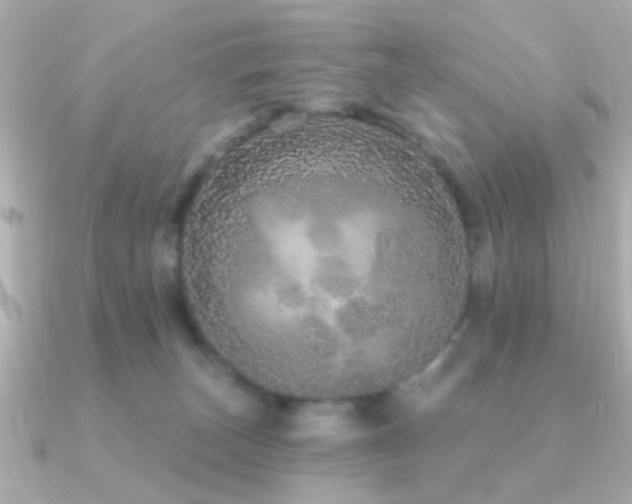 X0000091310179200708101510