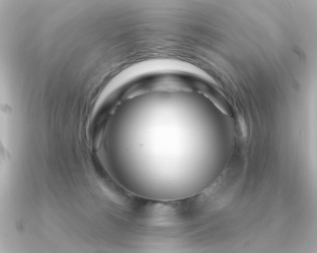 X0000091310180200708101510