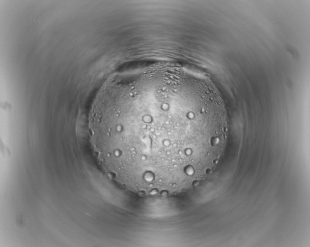 X0000091310181200708101510