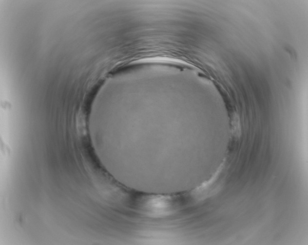 X0000091310182200708101510