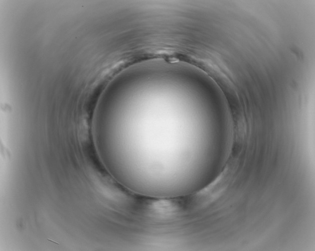 X0000091310183200708101510