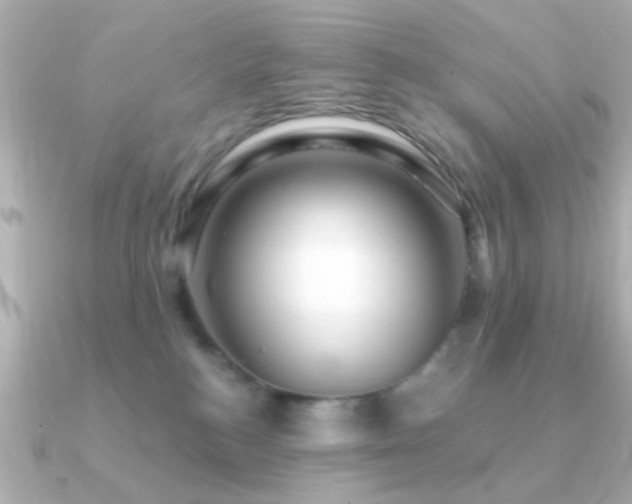 X0000091310184200708101510