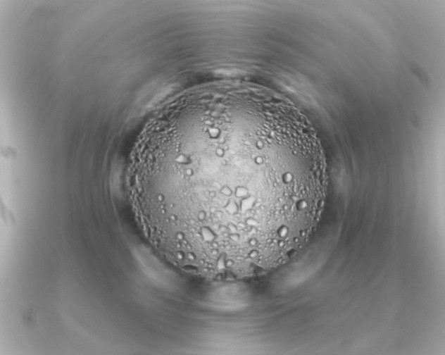 X0000091310185200708101510