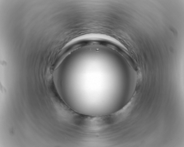 X0000091310186200708101510