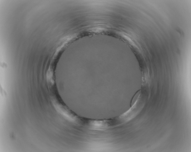 X0000091310187200708101510