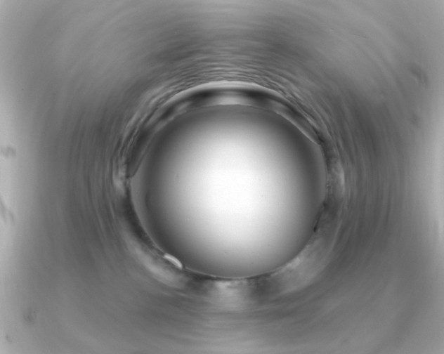 X0000091310188200708101510