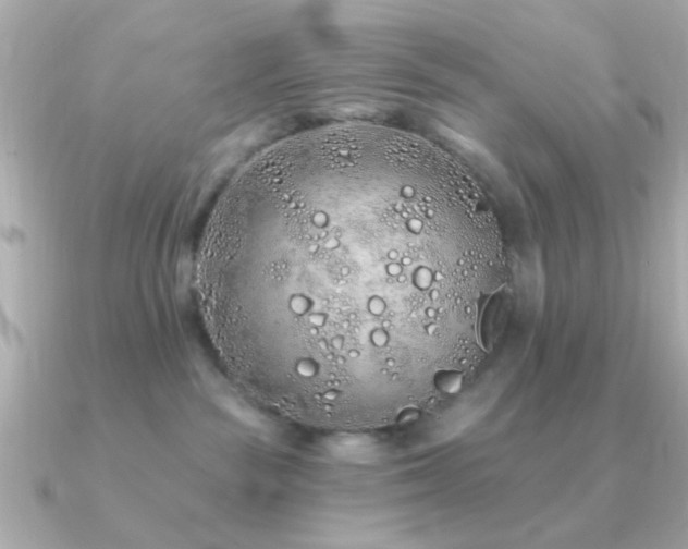 X0000091310189200708101510