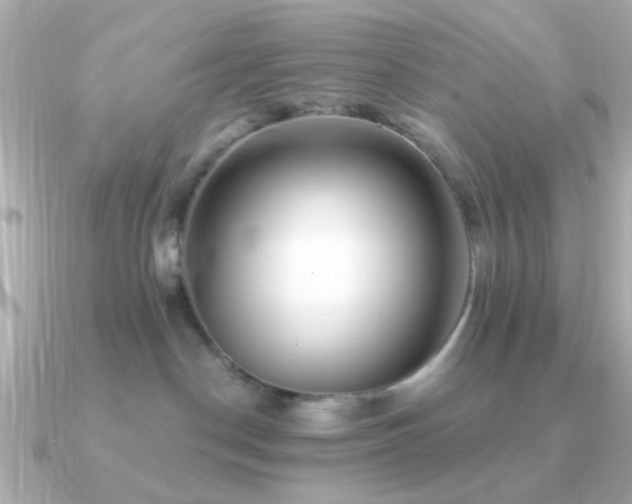 X0000091310190200708101510