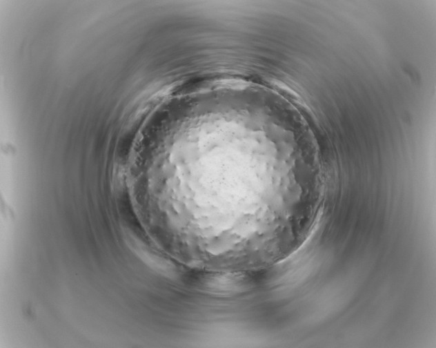 X0000091310191200708101510