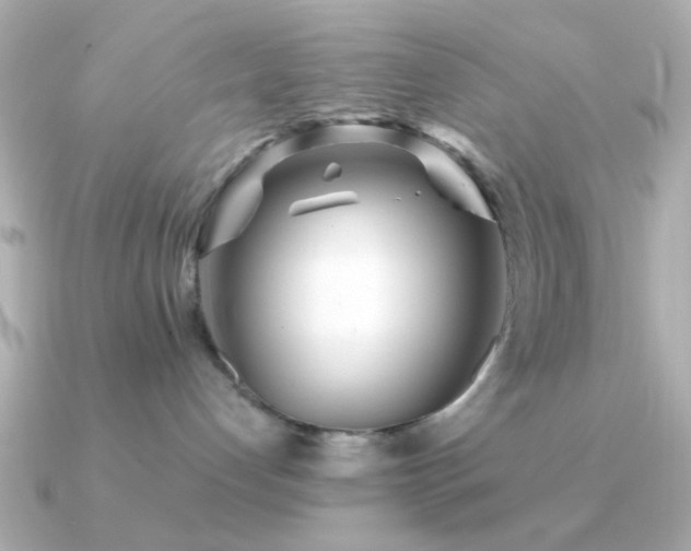 X0000091310192200708101510