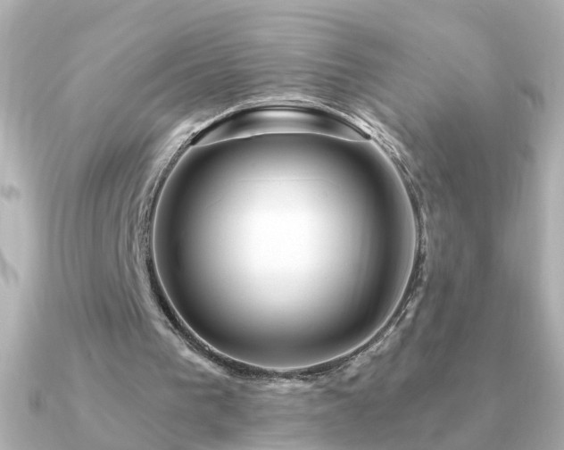 X0000091310193200708101509