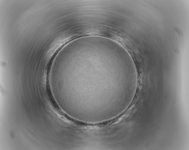 X0000091310194200708101509