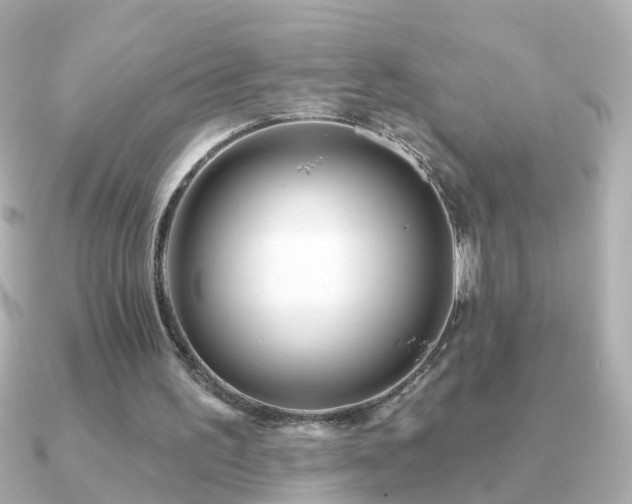 X0000091310195200708101509