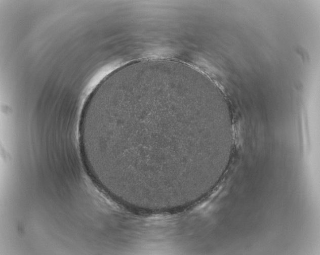 X0000091310196200708101509