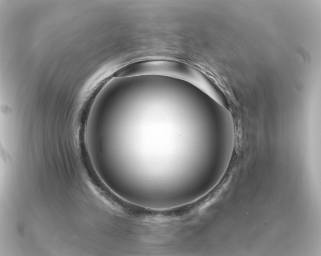 X0000091310197200708101509