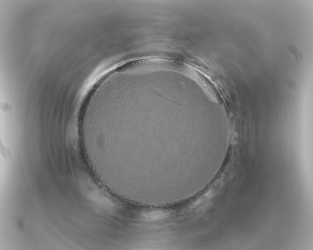 X0000091310198200708101509