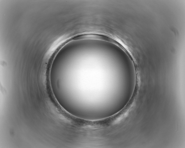 X0000091310199200708101509