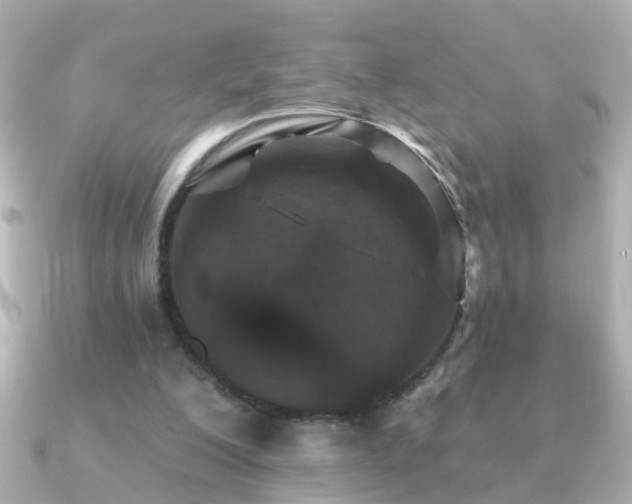 X0000091310200200708101509