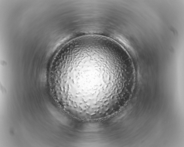 X0000091310202200708101509