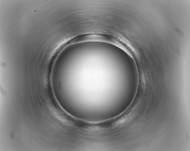 X0000091310203200708101509