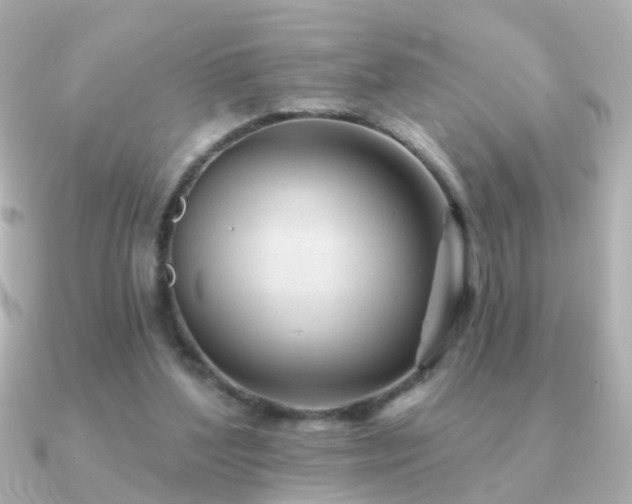 X0000091310204200708101509