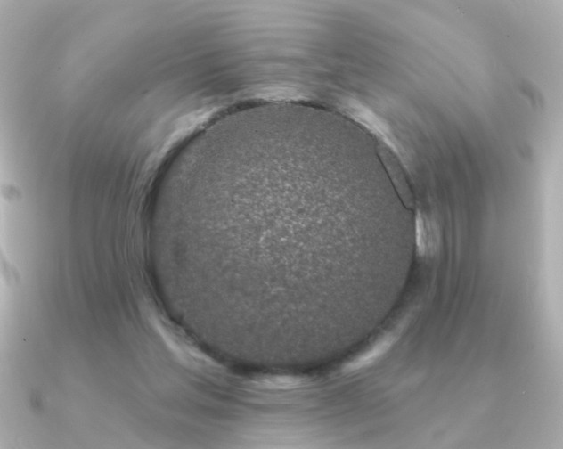 X0000091310205200708101509