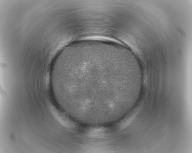 X0000091310206200708101509