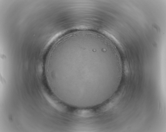 X0000091310208200708101509