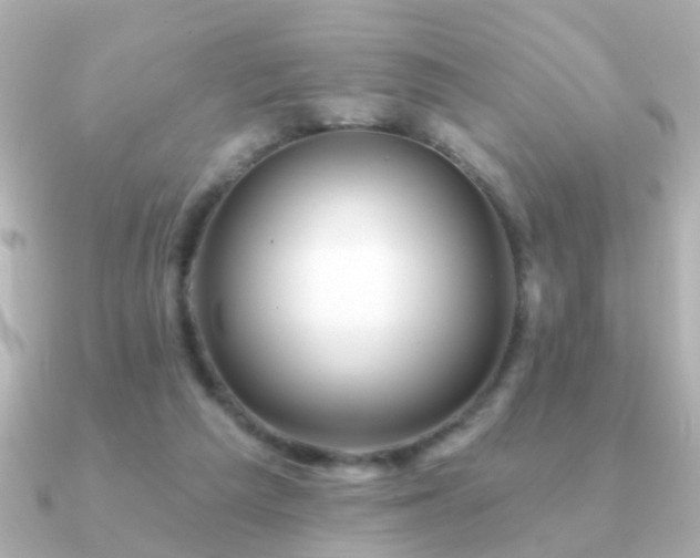 X0000091310209200708101509