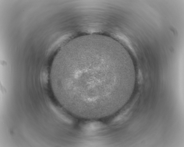 X0000091310210200708101509