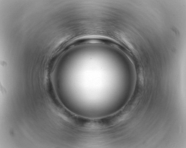 X0000091310211200708101509